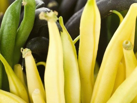 Photos - Wax Beans