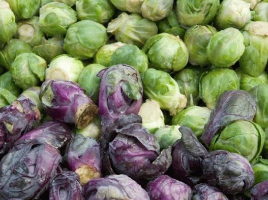 Photo - Brussels sprouts