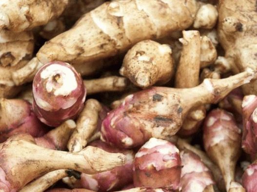 Photo - Jerusalem artichoke (Jerusalem artichoke)