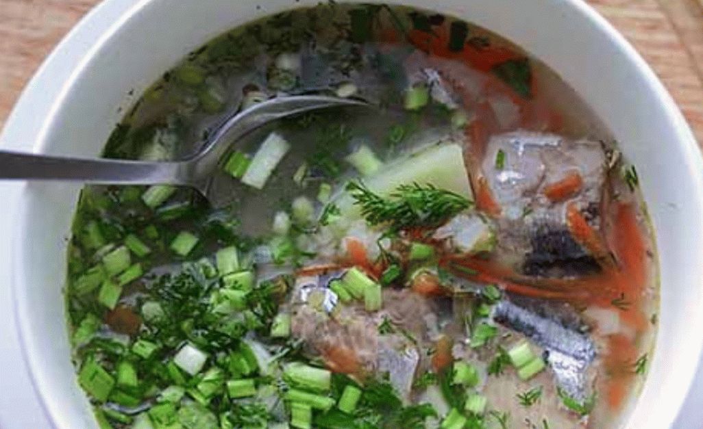 Fish soup Bachelor