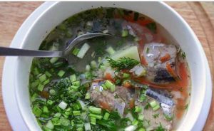 Fish soup Bachelor