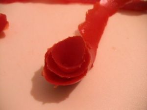 Tomato roses