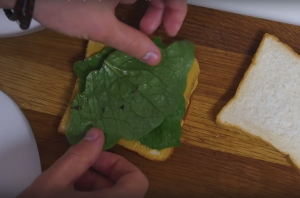 Ham and Cheese Sandwich - 0