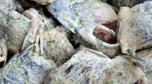 Shish kebab from crucian carp