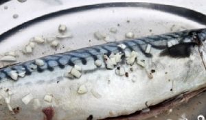 Mackerel Shish Kebab