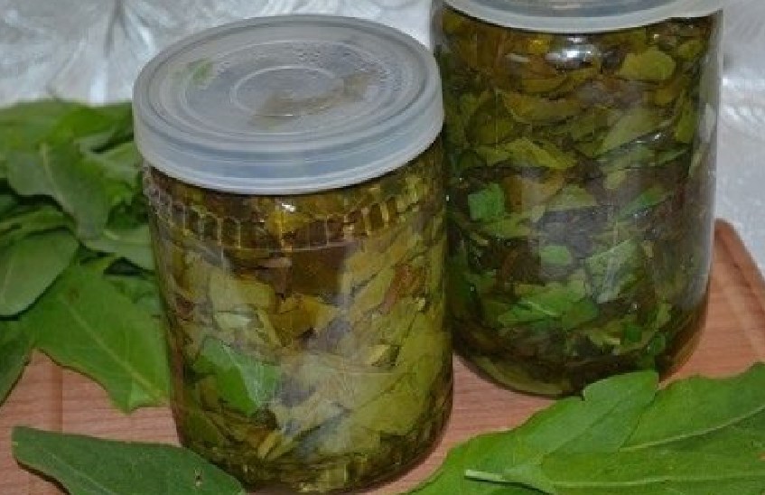 Sorrel for the winter in the bank