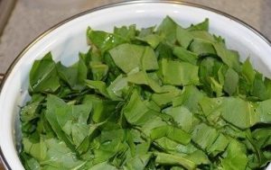 Sorrel for the winter in the bank