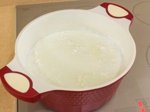 Homemade cheese