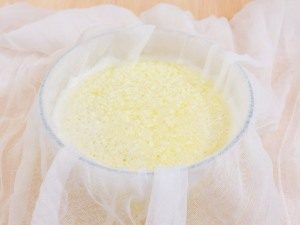 Homemade cheese