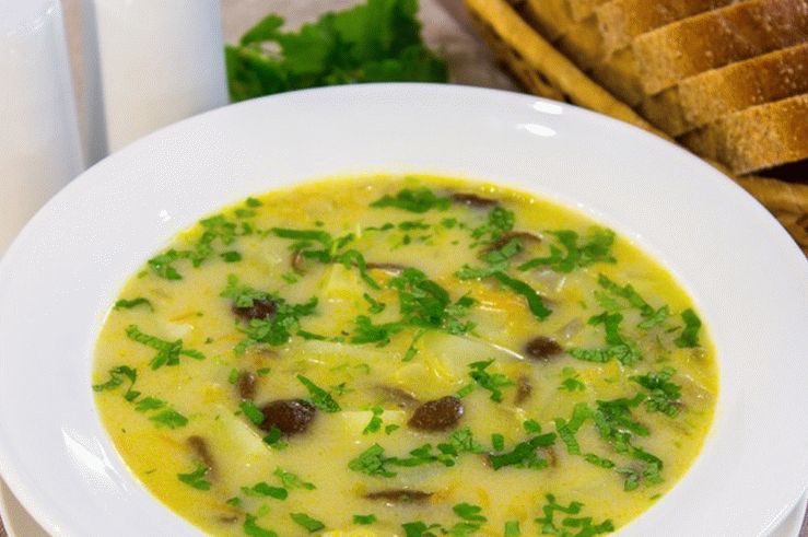 Cheese soup with honey mushrooms