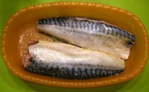 Norwegian mackerel