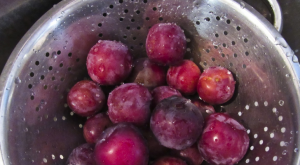 Plum compote