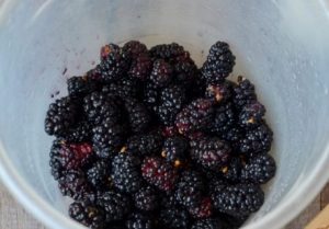 Mulberry smoothie