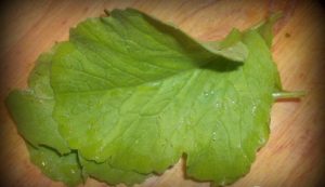 Radish leaf soup