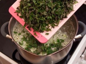 Nettle soup