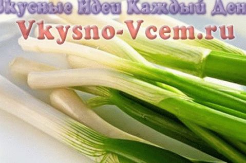 Harvesting green onions for the winter