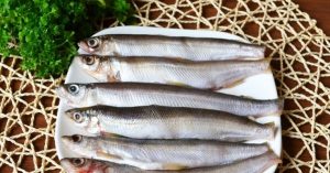 Vendace ear
