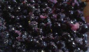 Blueberry Dumplings