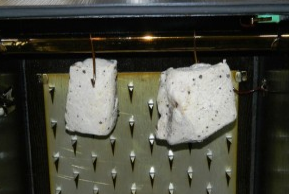 Smoked meat