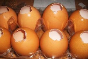 Jellied eggs