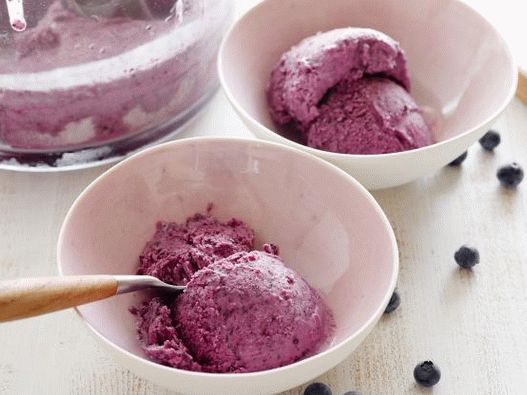 Photo of Frozen Blueberry Yogurt