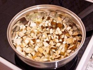 Mushroom Julienne