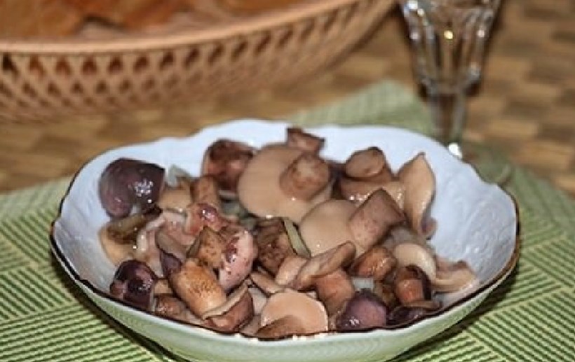 Маслята готовые. Грибы маслята соленые. Маслята маринованные. Как подготовить маслята к маринованию. Как подготовить маслята к маринованию.